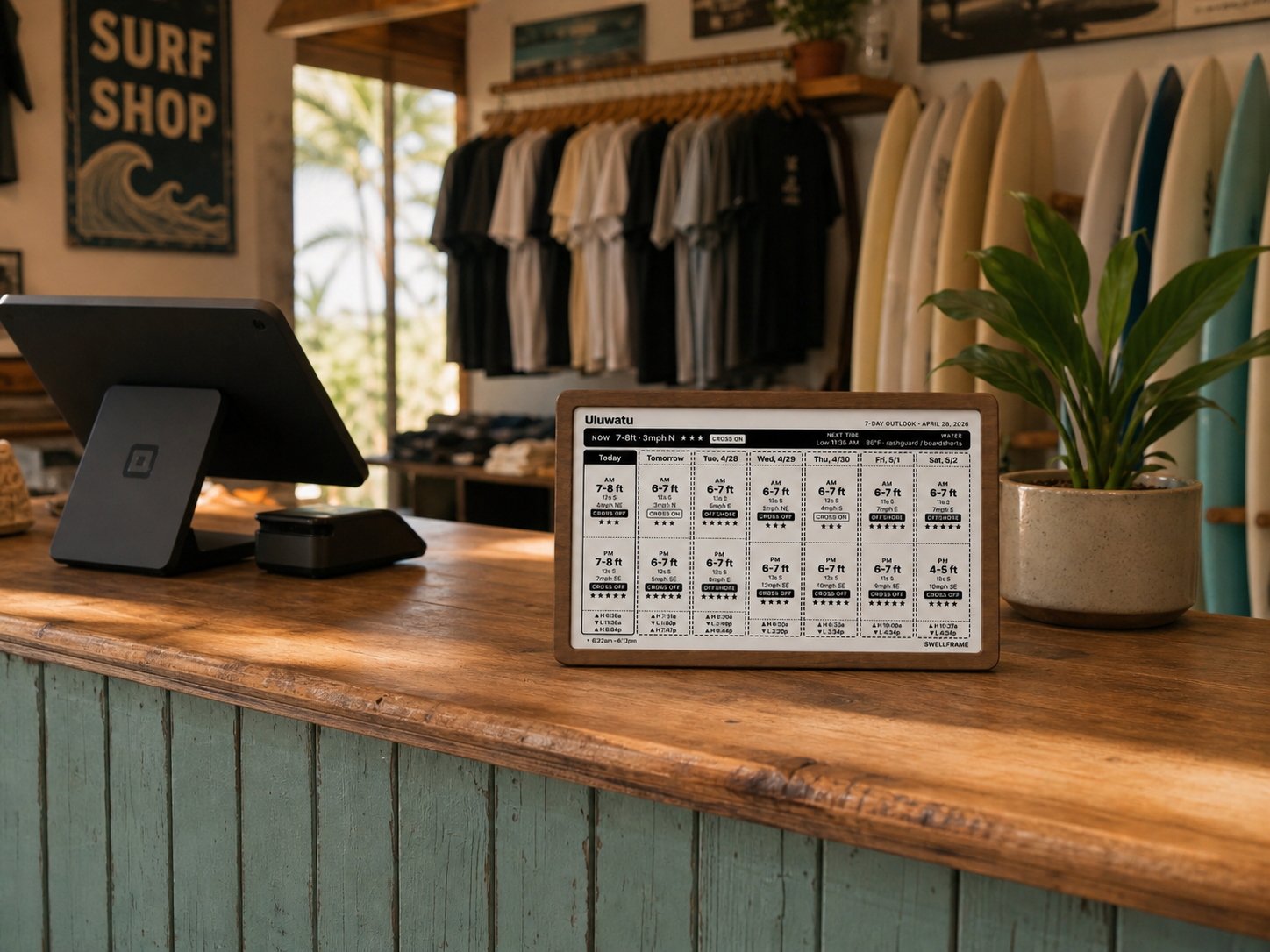 SWELLFRAME in a surf shop